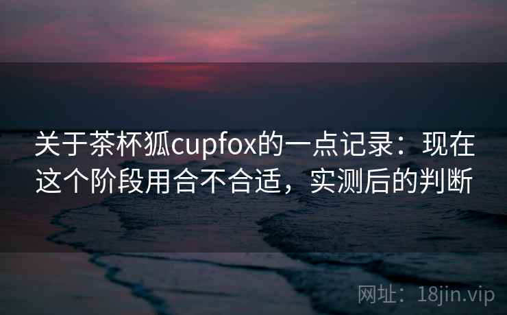 关于茶杯狐cupfox的一点记录:现在这个阶段用合不合适,实测后的判断 第2张 关于茶杯狐cupfox的一点记录:现在这个阶段用合不合适,实测后的判断 第2张