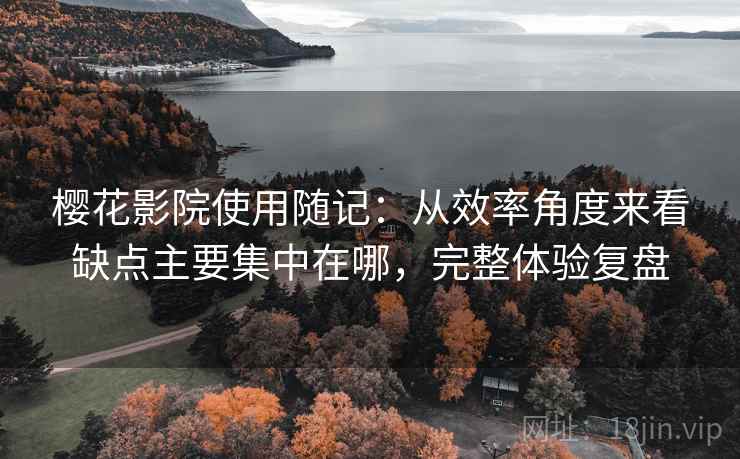 樱花影院使用随记：从效率角度来看缺点主要集中在哪，完整体验复盘