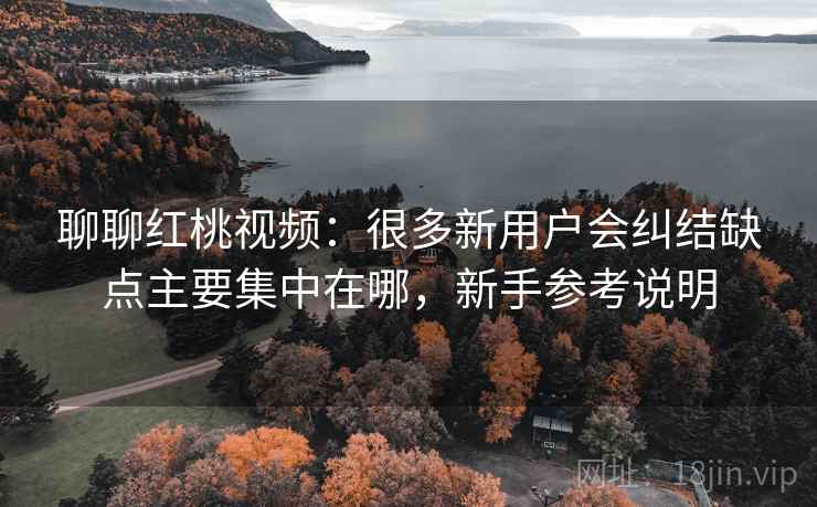 聊聊红桃视频：很多新用户会纠结缺点主要集中在哪，新手参考说明  第2张