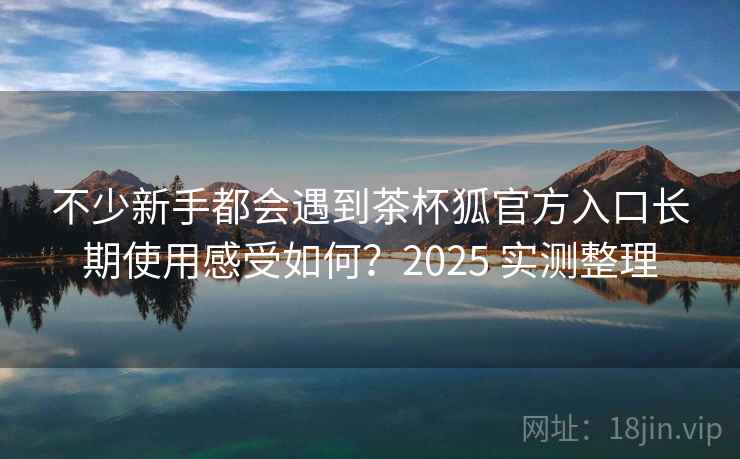 不少新手都会遇到茶杯狐官方入口长期使用感受如何？2025 实测整理  第2张