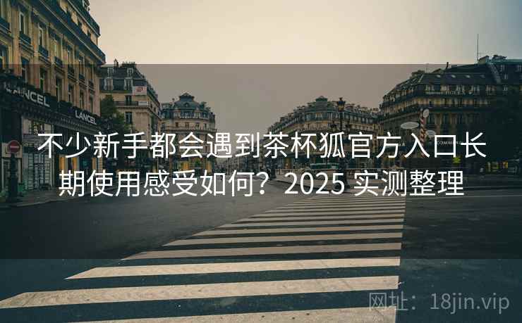 不少新手都会遇到茶杯狐官方入口长期使用感受如何？2025 实测整理