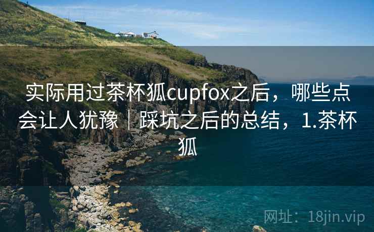 实际用过茶杯狐cupfox之后，哪些点会让人犹豫｜踩坑之后的总结，1.茶杯狐  第2张