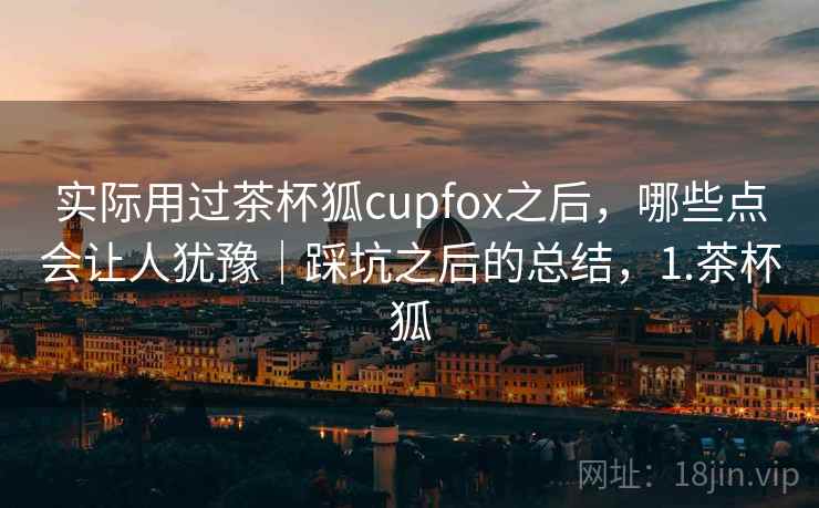 实际用过茶杯狐cupfox之后，哪些点会让人犹豫｜踩坑之后的总结，1.茶杯狐