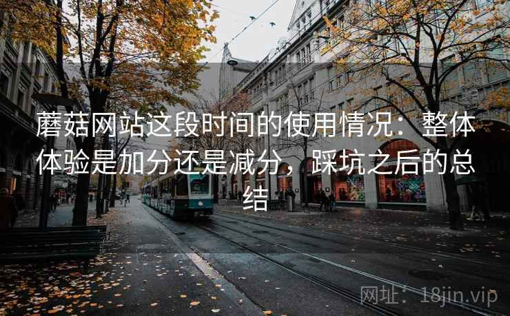 蘑菇网站这段时间的使用情况：整体体验是加分还是减分，踩坑之后的总结