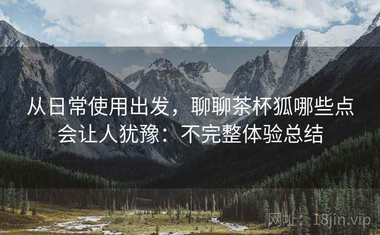从日常使用出发，聊聊茶杯狐哪些点会让人犹豫：不完整体验总结  第2张