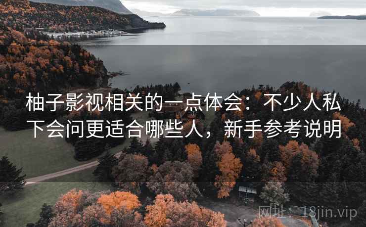 柚子影视相关的一点体会:不少人私下会问更适合哪些人,新手参考说明