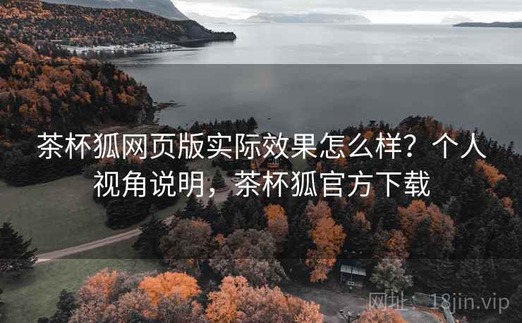 茶杯狐网页版实际效果怎么样?个人视角说明,茶杯狐官方下载