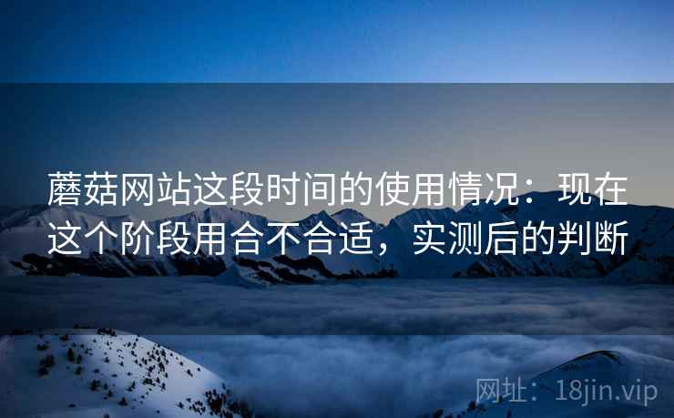 蘑菇网站这段时间的使用情况：现在这个阶段用合不合适，实测后的判断  第2张